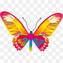 炫彩卡通可爱蝴蝶-空若网 炫彩卡通可爱蝴蝶-空若网