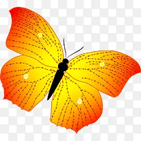 卡通橙色蝴蝶夏天-空若网 卡通橙色蝴蝶夏天-空若网