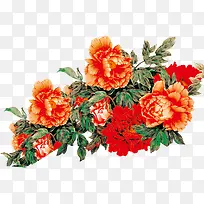 中秋节手绘水彩九月菊-空若网 中秋节手绘水彩九月菊-空若网