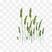 草-空若网 草-空若网