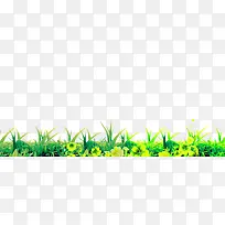 青草-空若网 青草-空若网