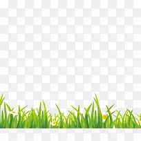 草-空若网 草-空若网