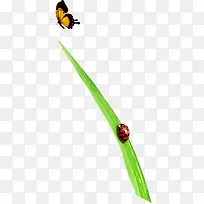 草-空若网 草-空若网