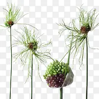 ��-������