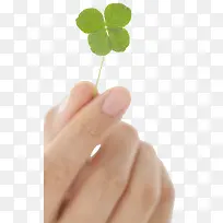 �������˲�-������