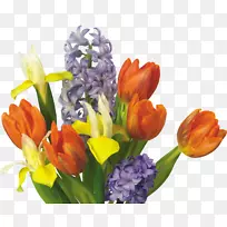 郁金香花束切花郁金香-空若网 郁金香花束切花郁金香-空若网