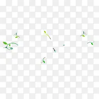 树藤-空若网 树藤-空若网