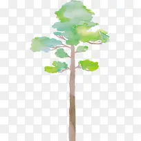 �����Ų���-������