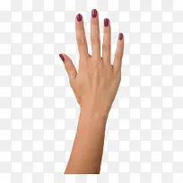 女人手示意图数字五-空若网 女人手示意图数字五-空若网
