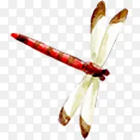 手绘水墨蜻蜓可爱-空若网 手绘水墨蜻蜓可爱-空若网