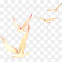 ���崴���ֻ溣Ÿ-������