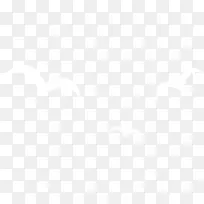 白色海鸥背景-空若网 白色海鸥背景-空若网