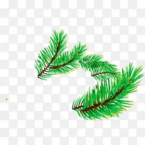 ʥ��Ԫ��������֦-������