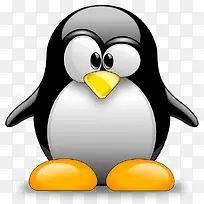 ��ͨ���-������