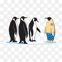 企鹅-空若网 企鹅-空若网