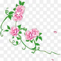 玫瑰花插画背景素材-空若网 玫瑰花插画背景素材-空若网