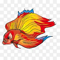 ʸÁ¿ºì»ð¹ÛÉÍÓãËØ²Ä-¿ÕÈôÍø ʸÁ¿ºì»ð¹ÛÉÍÓãËØ²Ä-¿ÕÈôÍø