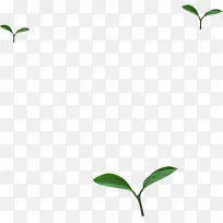 绿色环保创意小草-空若网 绿色环保创意小草-空若网