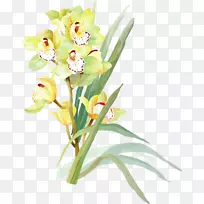 水彩画花画艺术水彩画-空若网 水彩画花画艺术水彩画-空若网