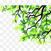 树木边框装饰-空若网 树木边框装饰-空若网