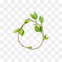 树叶边框-空若网 树叶边框-空若网