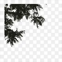 树叶边框-空若网 树叶边框-空若网