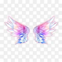 炫彩翅膀-空若网 炫彩翅膀-空若网