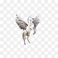 天马-空若网 天马-空若网