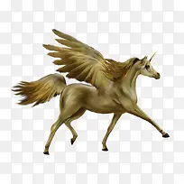 神话天马-空若网 神话天马-空若网