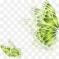 Ë®²Ê¾«ÃÀºûµû³á°ò-¿ÕÈôÍø Ë®²Ê¾«ÃÀºûµû³á°ò-¿ÕÈôÍø