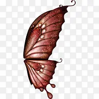 蝴蝶-空若网 蝴蝶-空若网