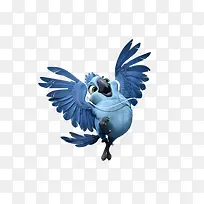 蓝色鹦鹉-空若网 蓝色鹦鹉-空若网