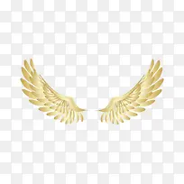 ��ɫ�Ľ�����-������