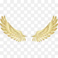 金色翅膀图片-空若网 金色翅膀图片-空若网
