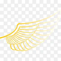 翅膀-空若网 翅膀-空若网