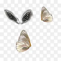 ��۶�����-������