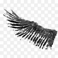 ���ڳ��-������