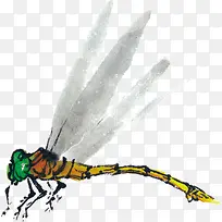 »ÆÉ«òßòÑ-¿ÕÈôÍø »ÆÉ«òßòÑ-¿ÕÈôÍø