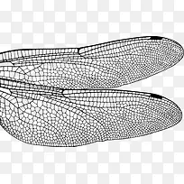 蜻蜓翅膀矢量图-空若网 蜻蜓翅膀矢量图-空若网