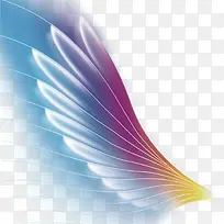 翅膀-空若网 翅膀-空若网