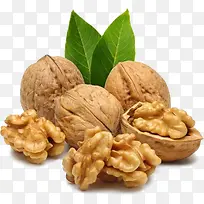 ���� ʳ��-������