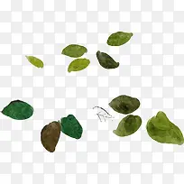 ����ˮ����Ҷװ��-������