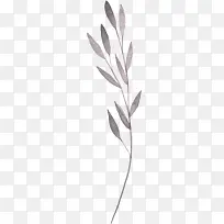 �ֻ�ˮ����Ҷ��Լ-������