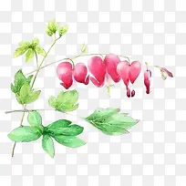 ˮ��ֲ��-������