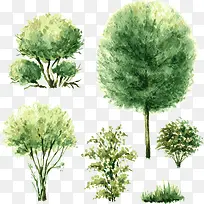 水彩树-空若网 水彩树-空若网