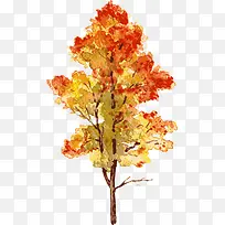 水彩树-空若网 水彩树-空若网