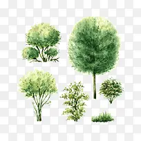 水彩树-空若网 水彩树-空若网