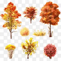 水彩树-空若网 水彩树-空若网