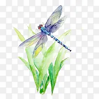 水彩蜻蜓-空若网 水彩蜻蜓-空若网