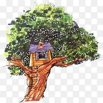 ��ӰЧ��ˮ�ʺϳ�ֲ��Ч��-������